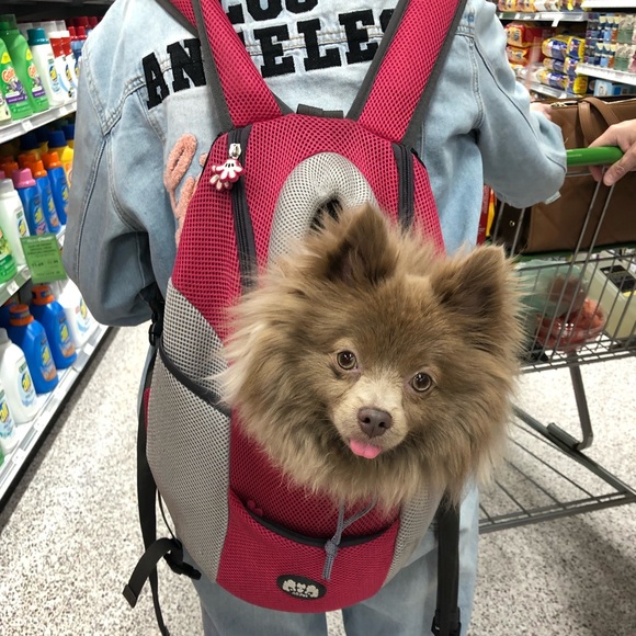 Pet Carrier Backpack 🎒